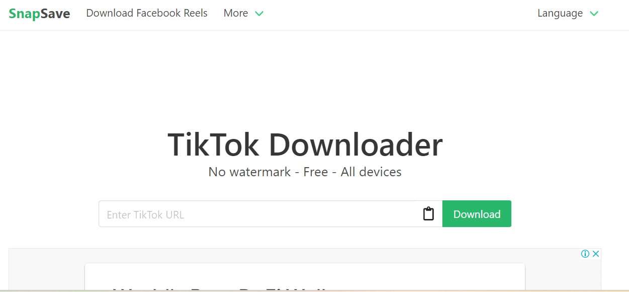 Downloader Tik SnapSave