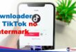 Downloader for TikTok no Watermark