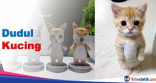 Dudul Kucing