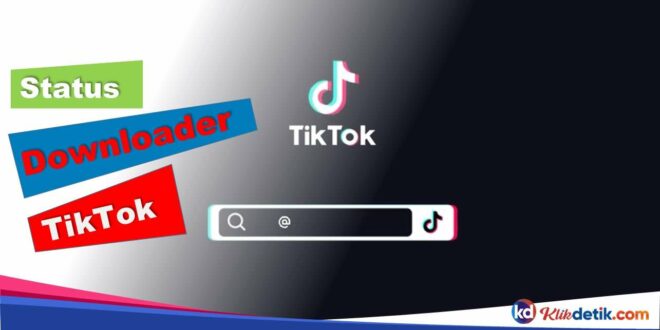 Status Downloader TikTok