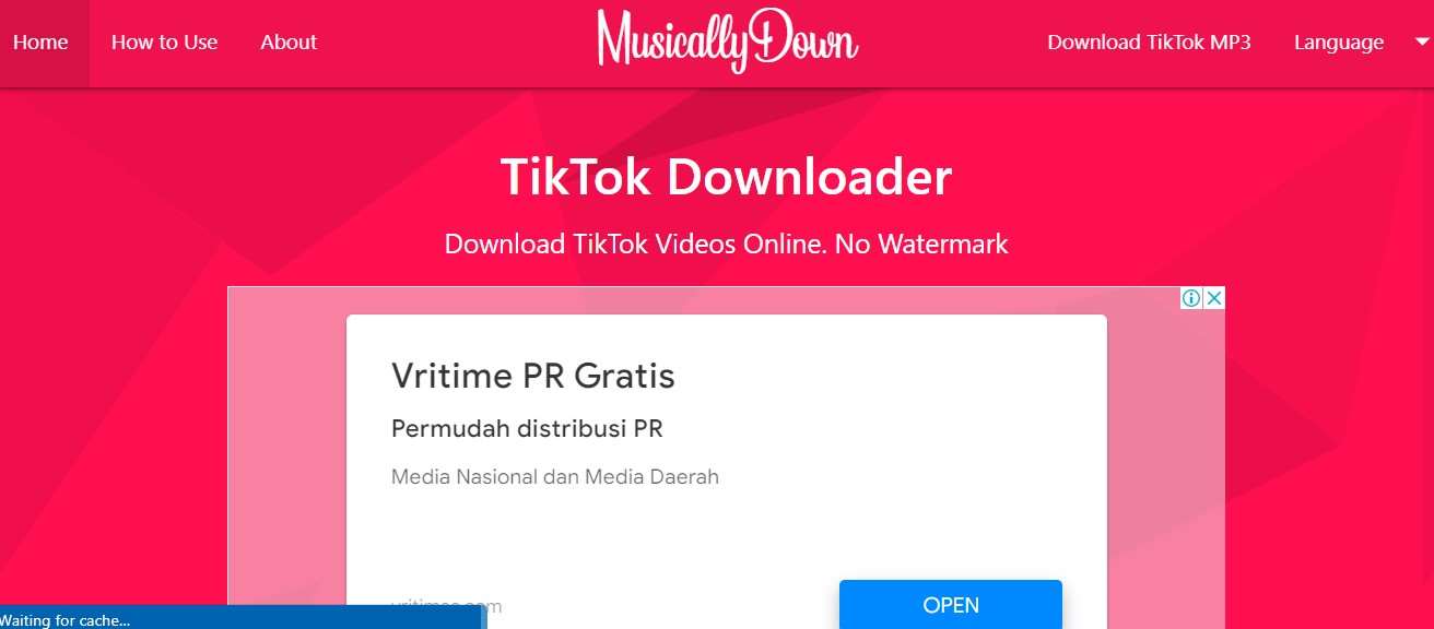 Status Downloader TikTok MusicallyDown