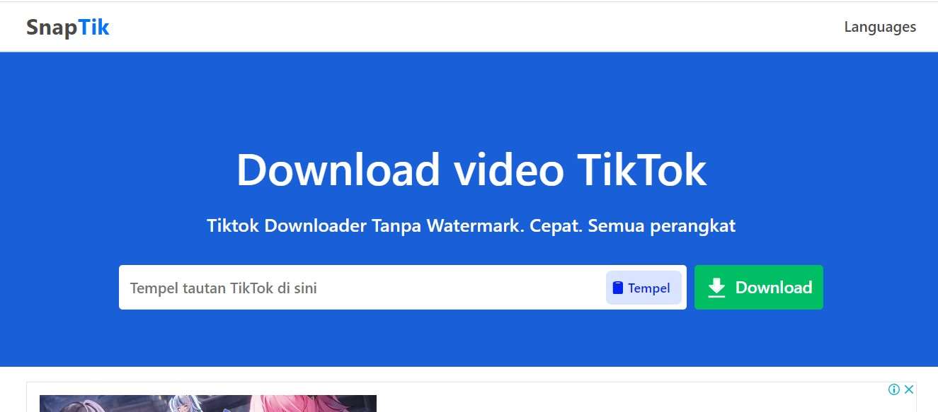 Status Downloader TikTok SnapTik