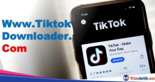 Www.Tiktok Downloader