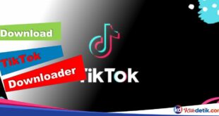 Download TikTok Downloader